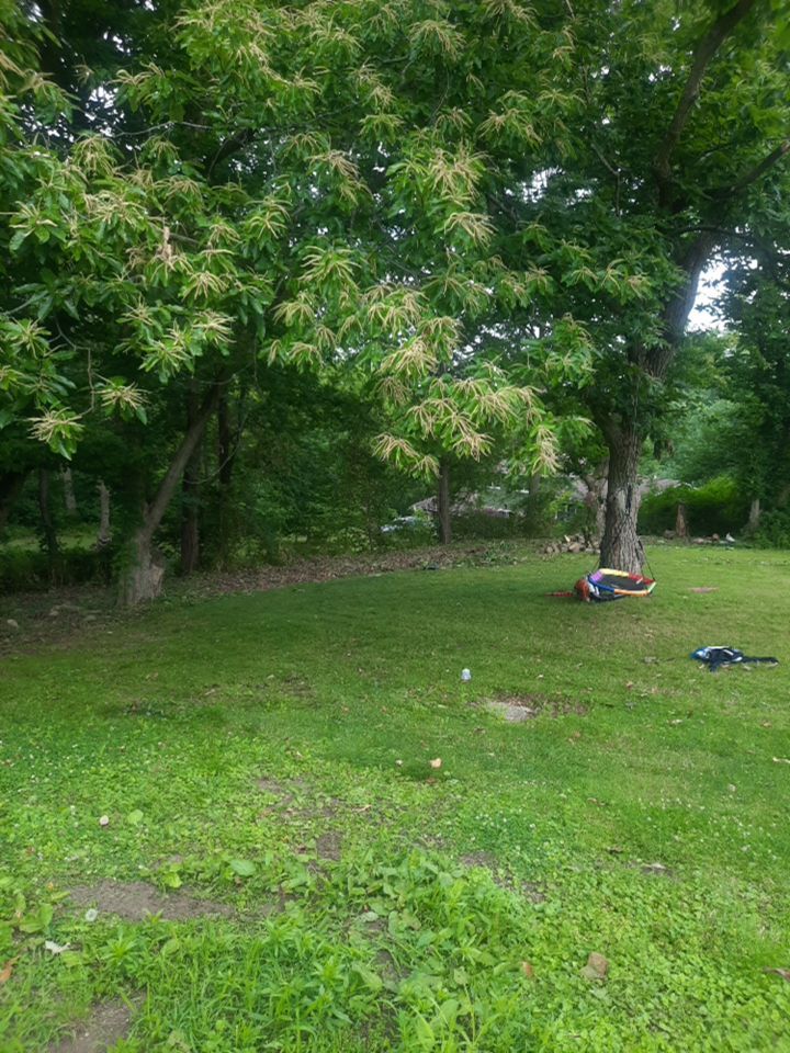 Tree Removal using Tree Removal by Mike Jones & Sons Tree Service LLC 