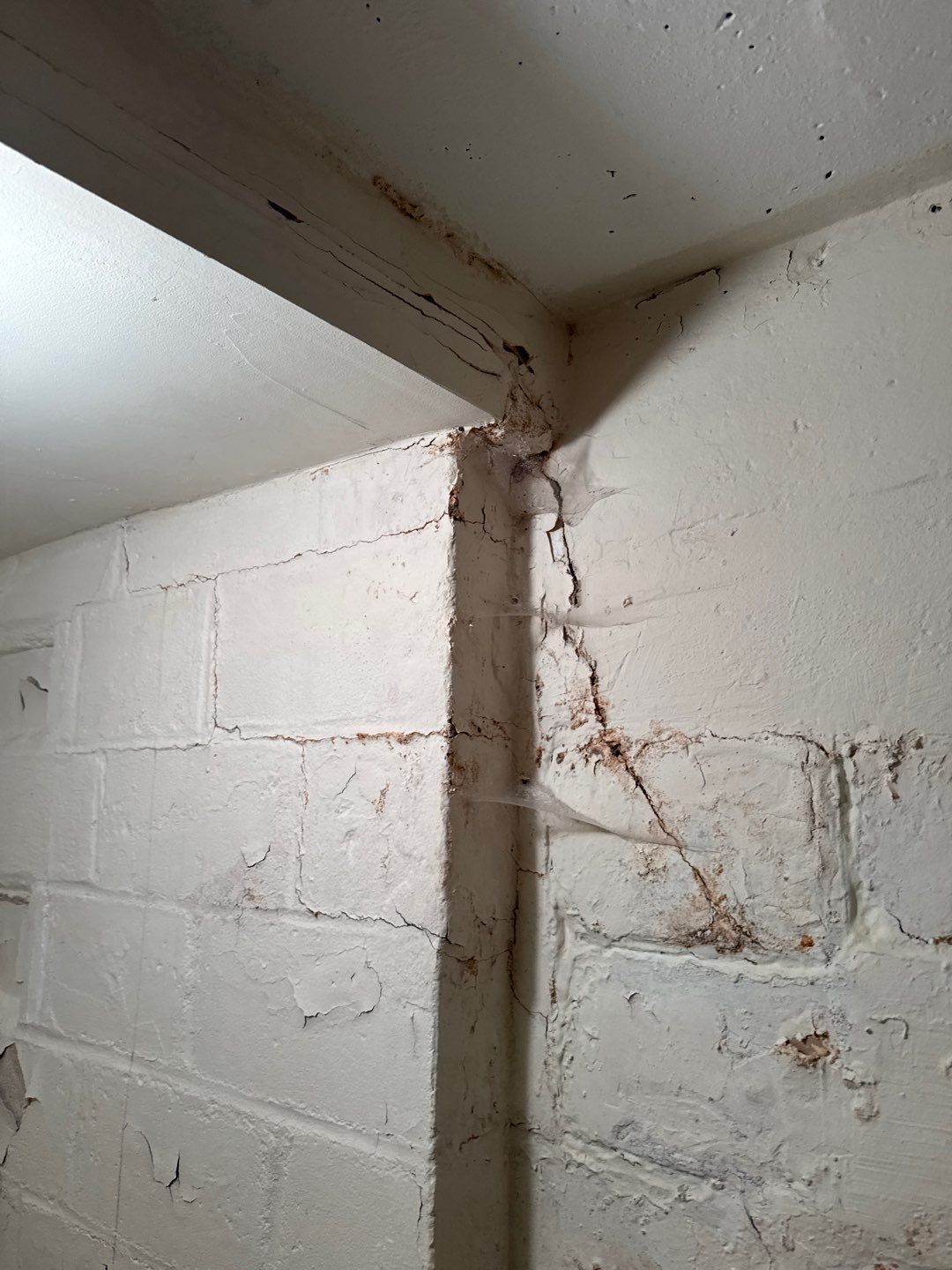 Well Room Waterproofing for Charlie by Waterproofing Northeast