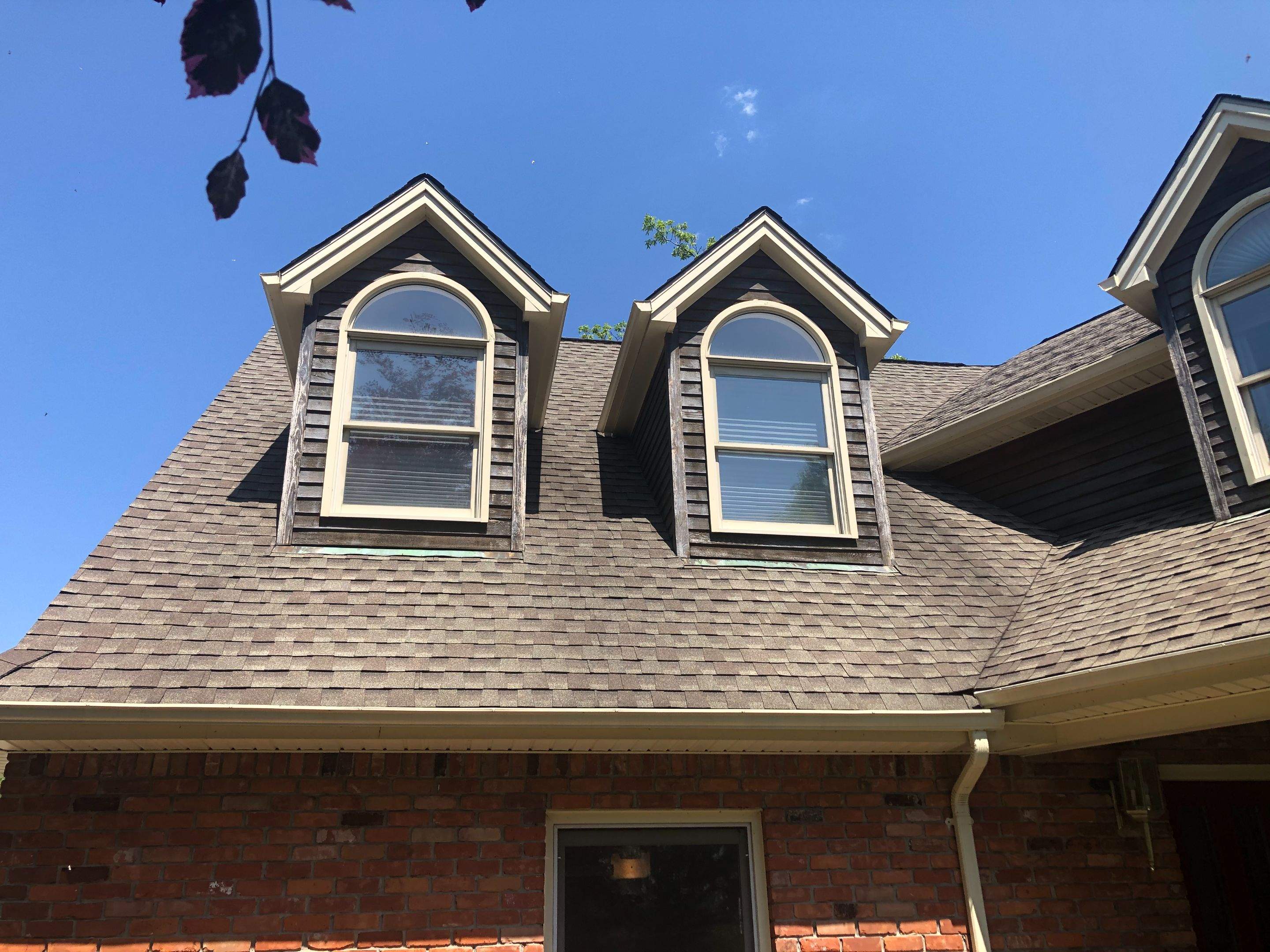 Window Replacement by Ivy Lea Construction