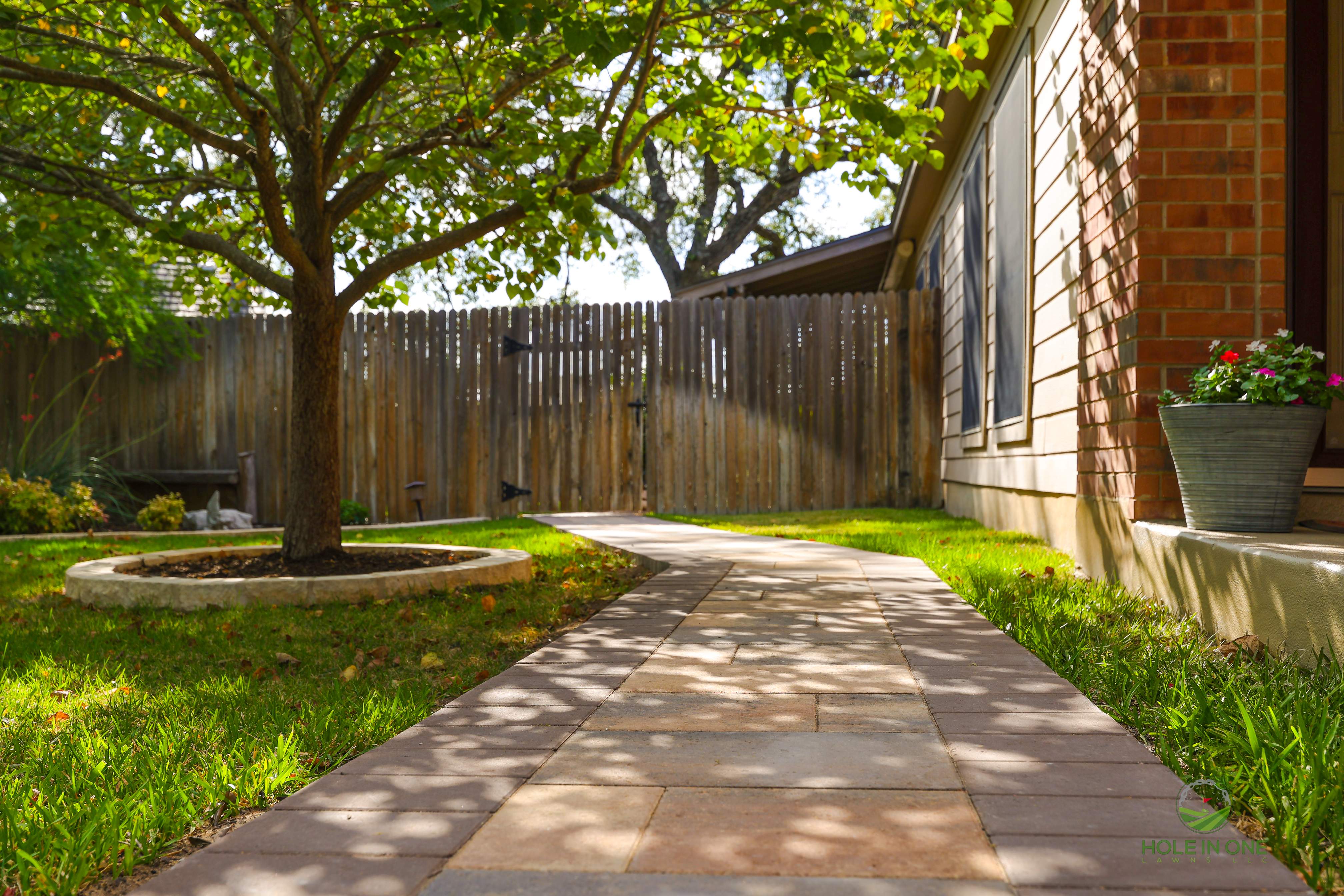 Wortham Oak, San Antonio TX by Hole In One Lawns, LLC