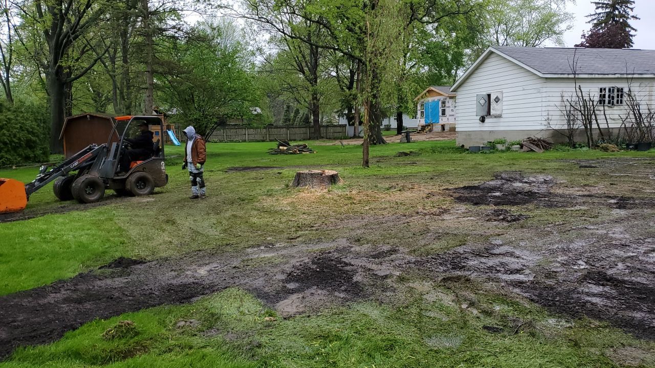 Tree Removal using Tree Removal by Mike Jones & Sons Tree Service LLC 