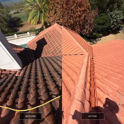 Tile Roof Cleaning