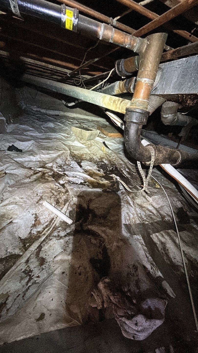 Sewage Backup by Accountable Home Services