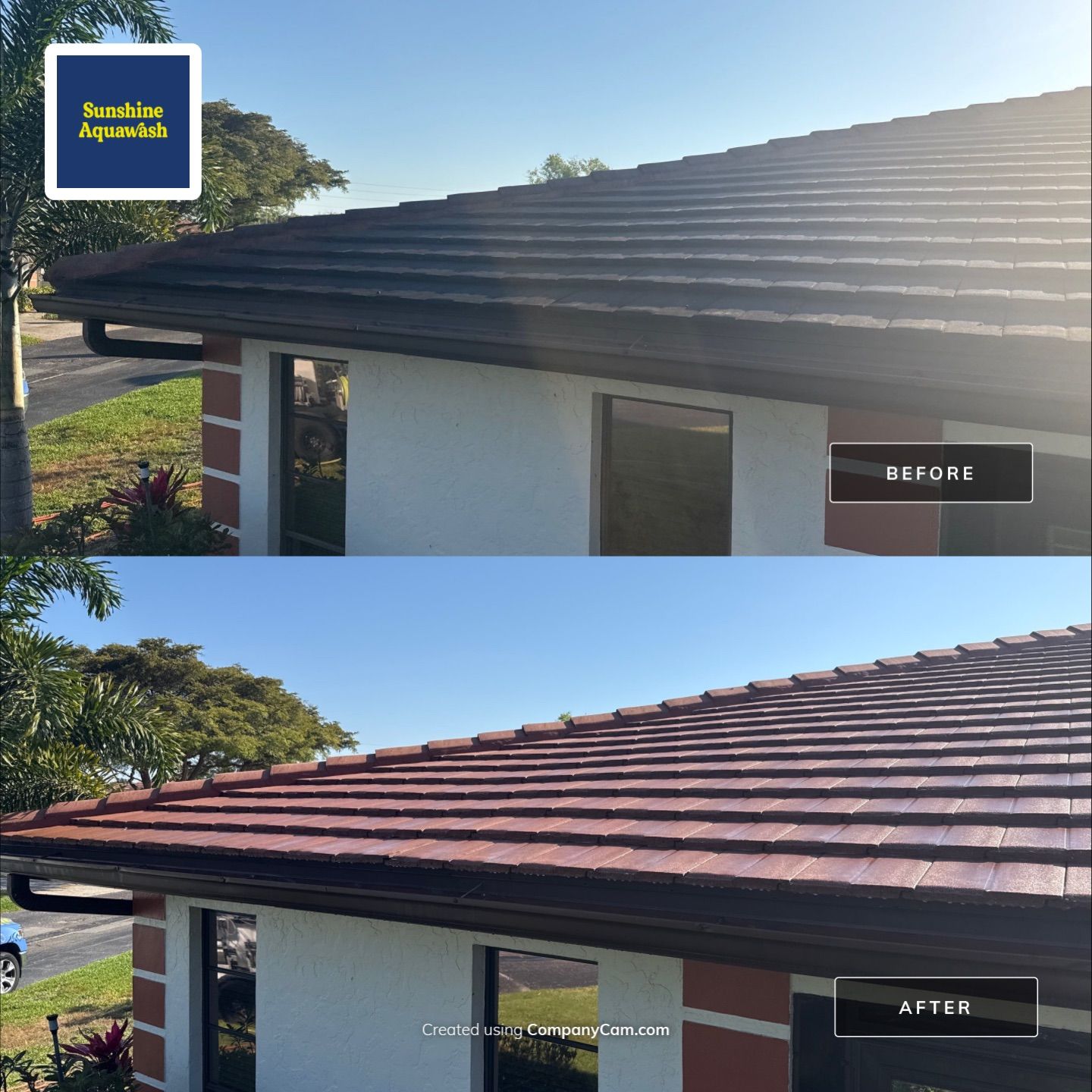 Tile Roof Cleaning – Vivenda at Bradenton I (5-Star Review & Plant Protection) by Sunshine AquaWash