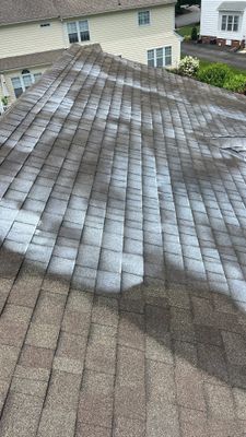 Project in Midlothian