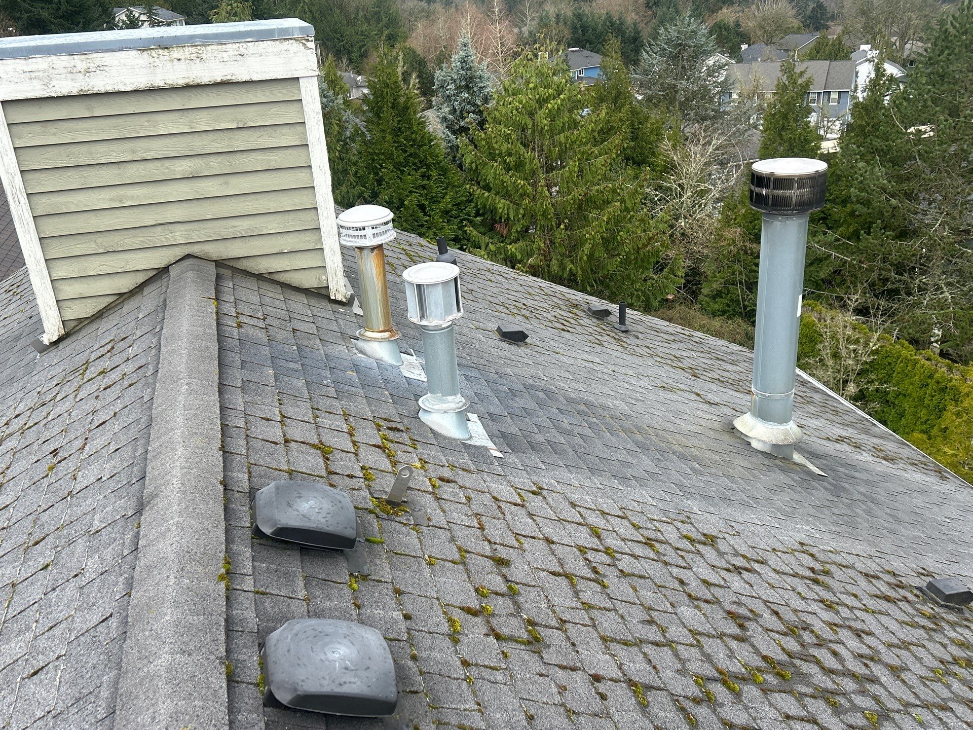 Project in Bellevue by Peaks and Valleys Construction