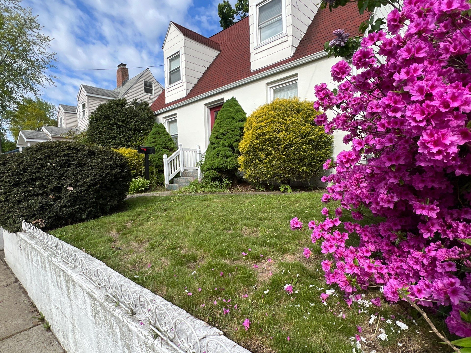 Comprehensive Lawn Care and Hedge Trimming in New Haven by Diamond Image LLC