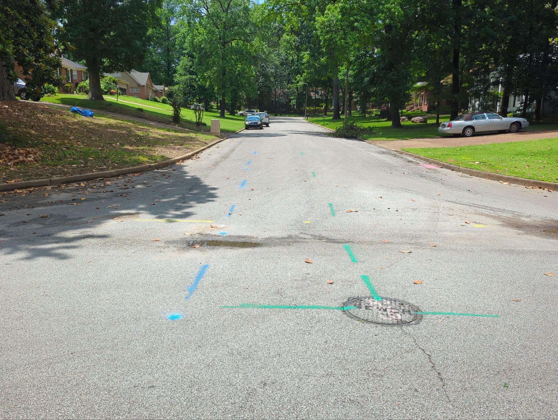 Utility R.O.W Locate for Survey and Design project by Alsip Locating Service, LLC