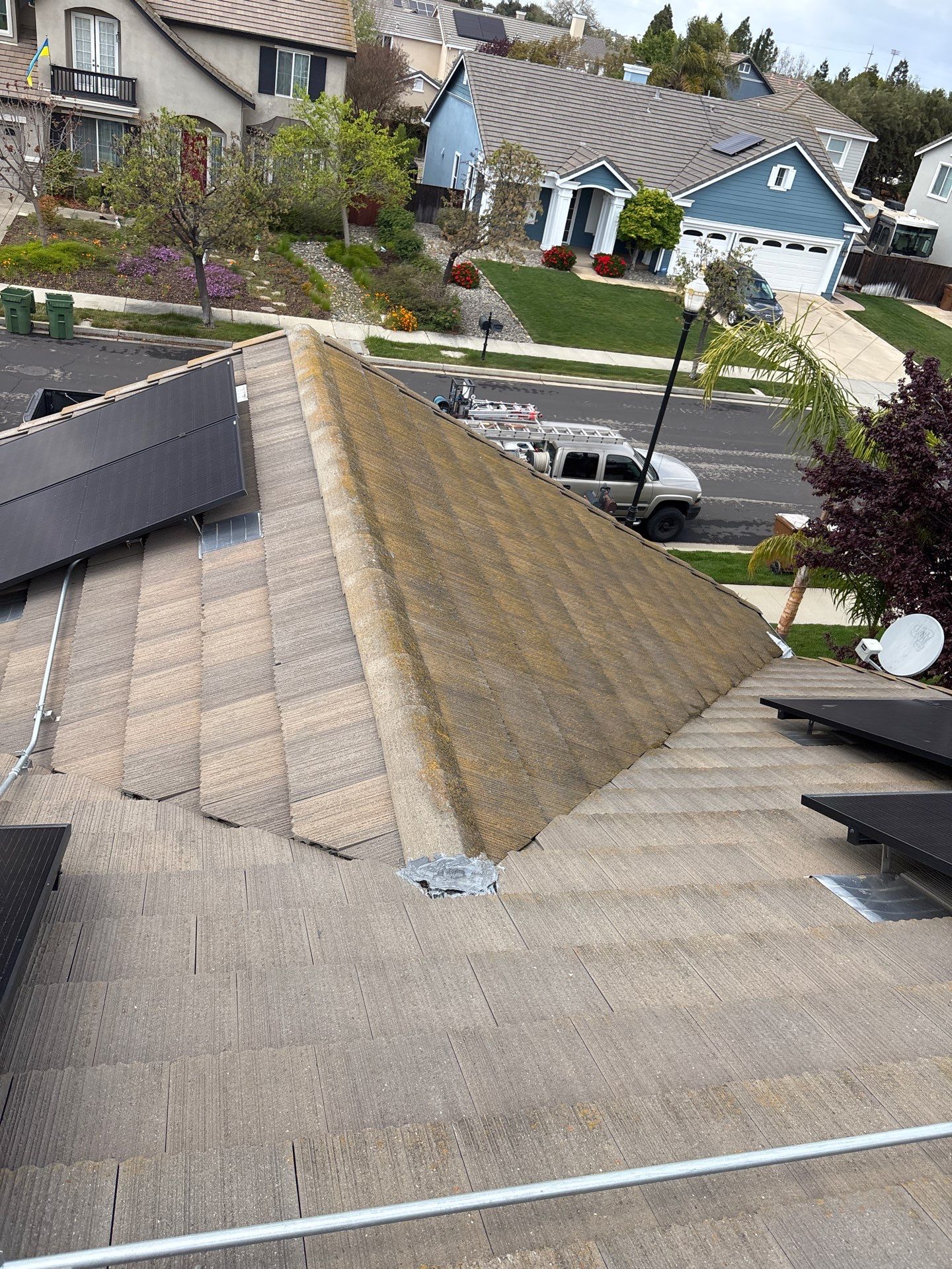 Moss Removal by Top Elevation