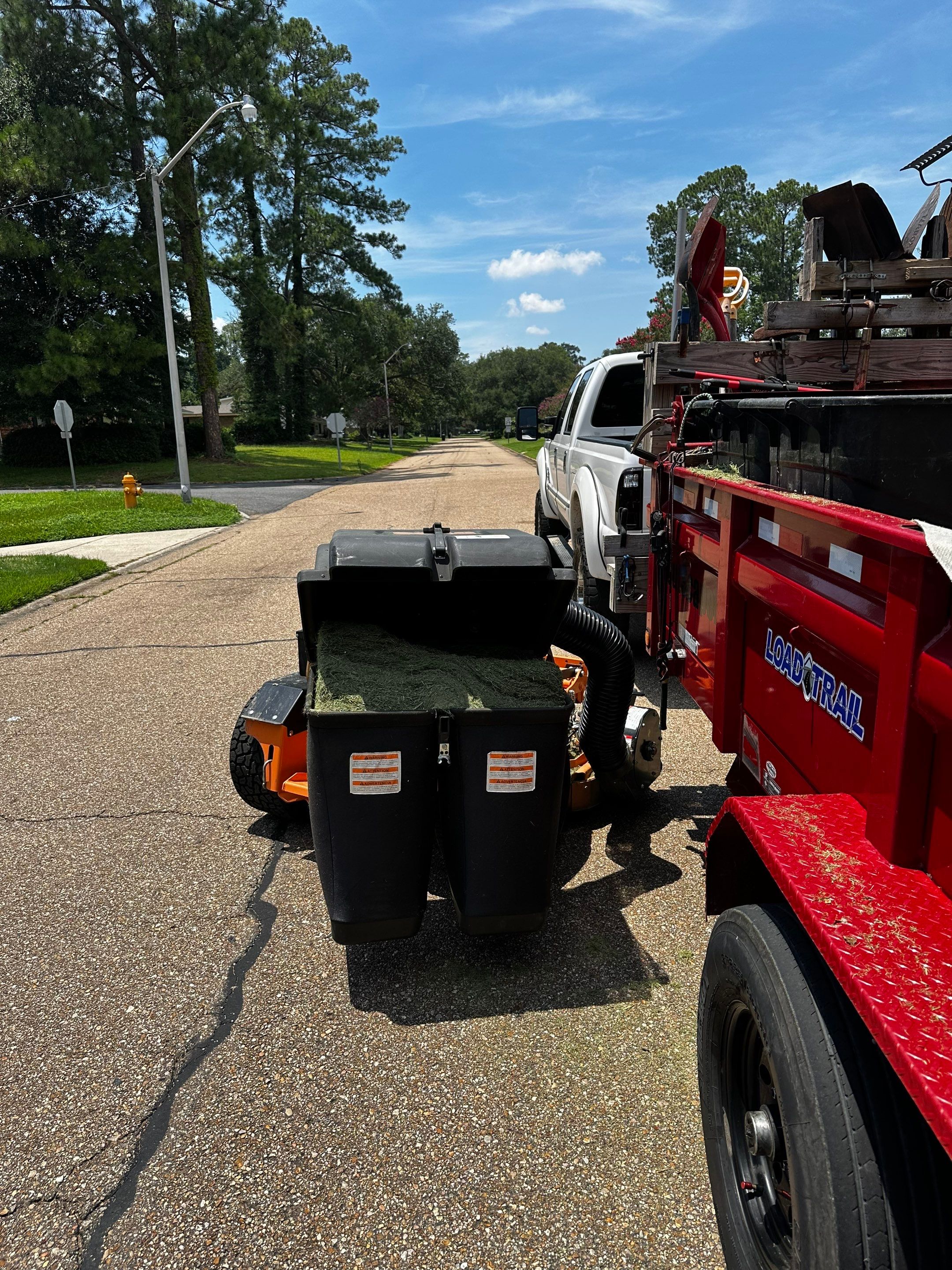 RESIDENTIAL LAWN MAINTENANCE: *OPTIONAL* VAC & BAG GRASS CLIPPINGS AND DEBRIS WITH SCAG GRASS CATCHERBAGGING GRASS CLIPPINGS AND DEBRIS WITH SCAG GRASS CATCHER by CutScape, LLC.