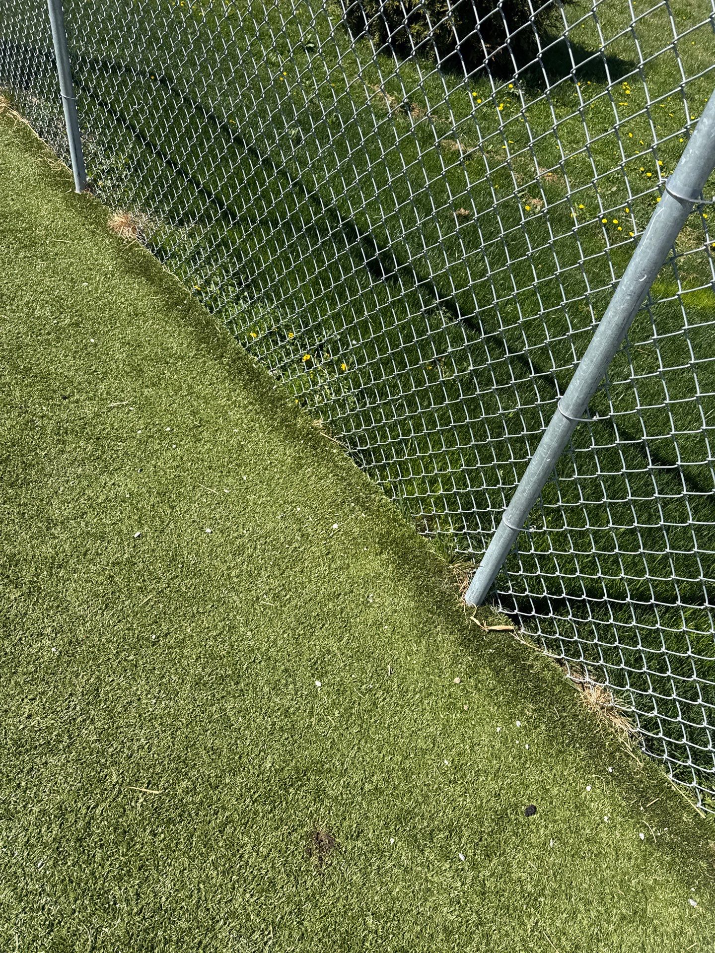 Repair - Johnson County Animal Shelter by ForeverLawn NEIN/INDY