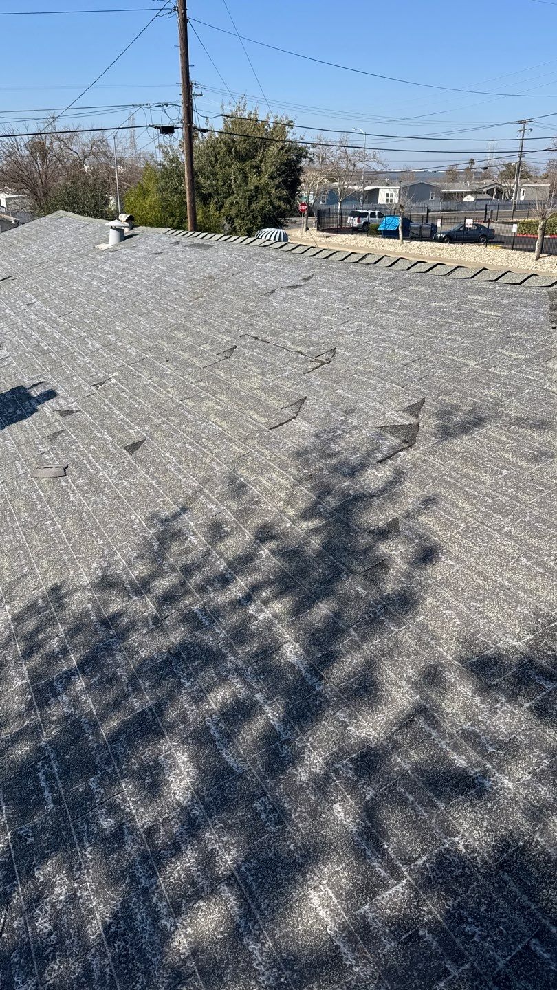 Project by NuLead Construction Inc by NuLead Construction Inc