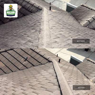 Professional Tile Roof Cleaning in Dr. Phillips