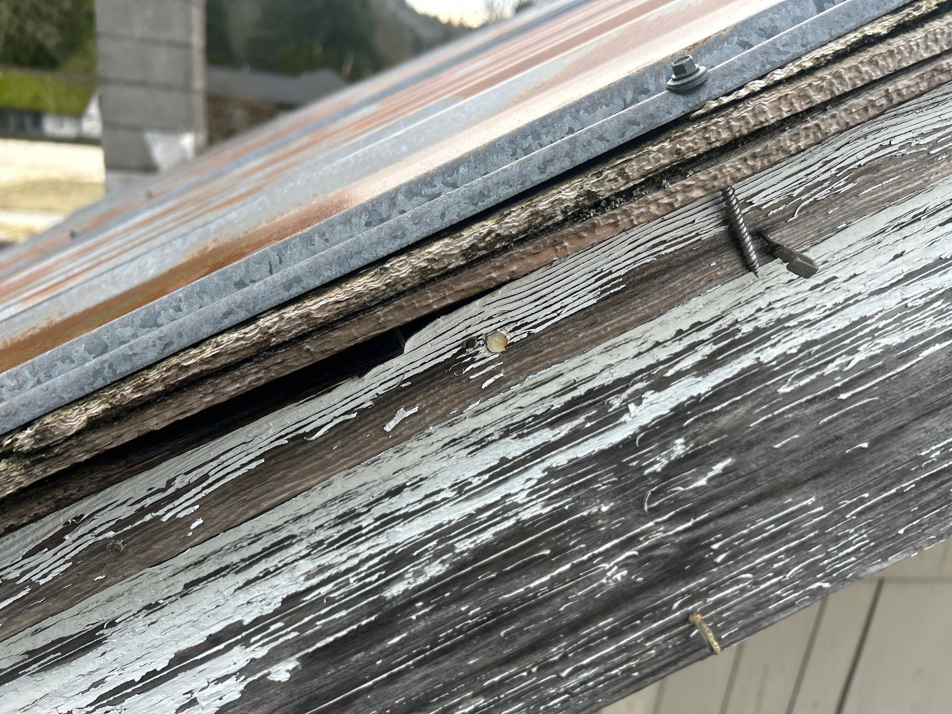 Project in Sedro-Woolley by Connolly Construction Company