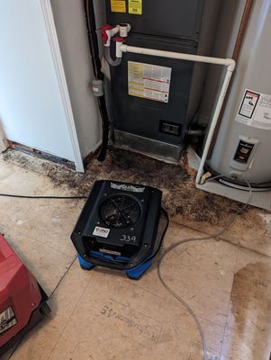 Emergency Service Water Damage in Paris Crossing, IN