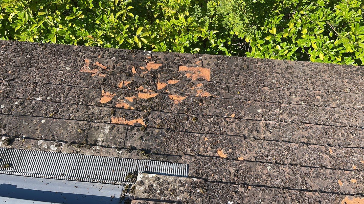 Roof Clean  - Moss Removal - Gutter Clean using Honda 15lpm Low Pressure Washing Machine by Ges Exterior Cleaning ltd