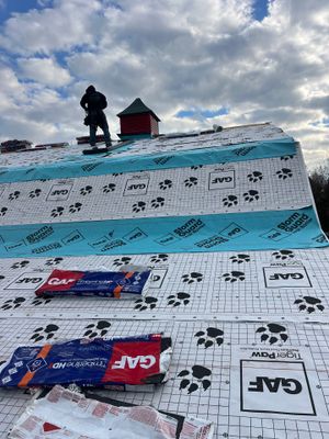 Residential Roofing Replacement with Multiple Skylights in Mason, Michigan