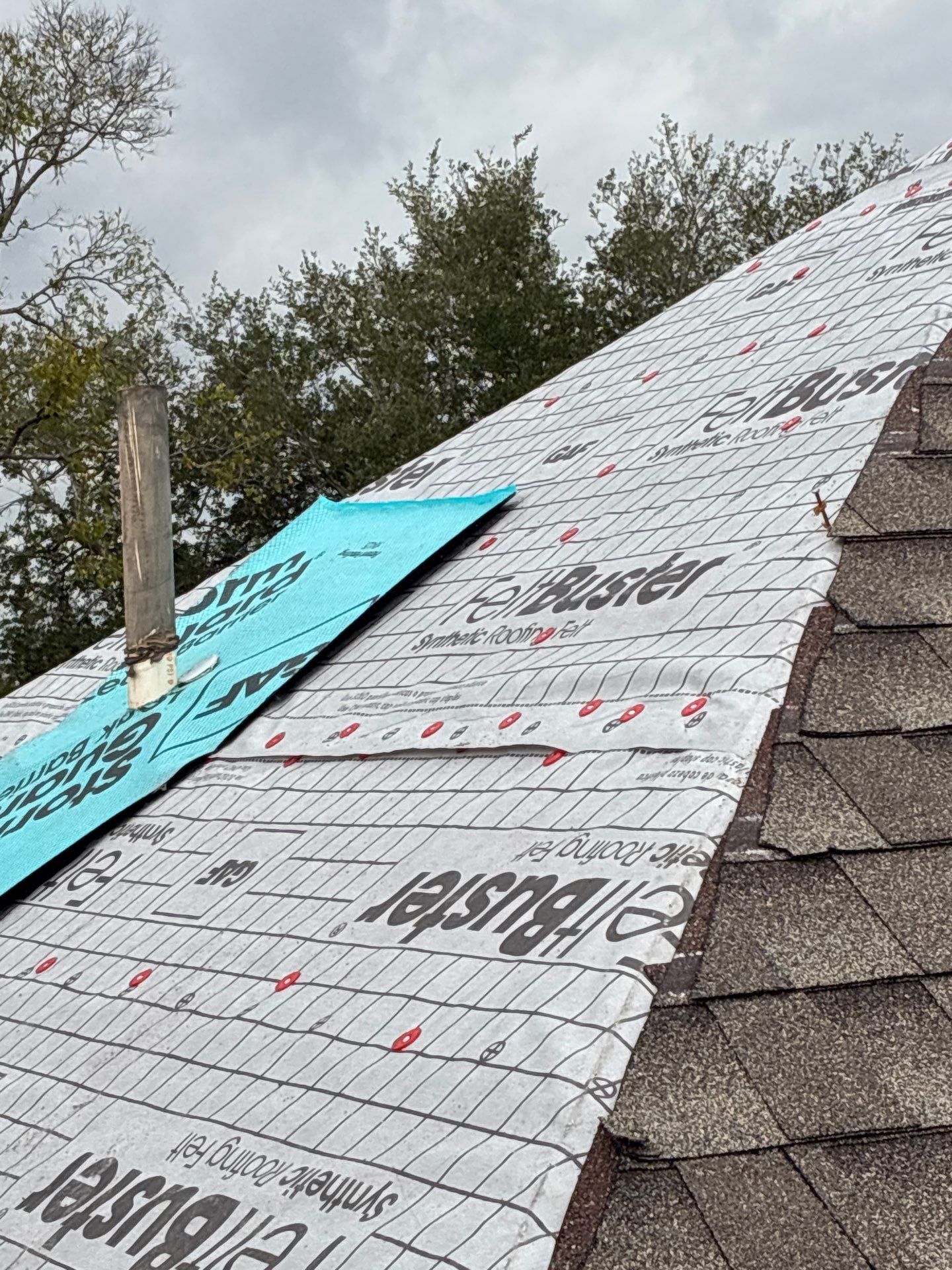 GLORIA M by Boss Hogg Roofing