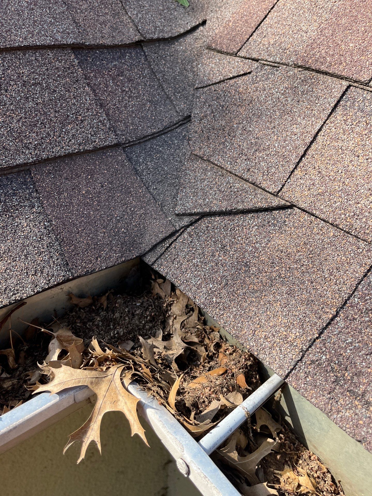 Commercial gutter cleaning Arlington & Grand Prairie, TX before photo with filled gutters