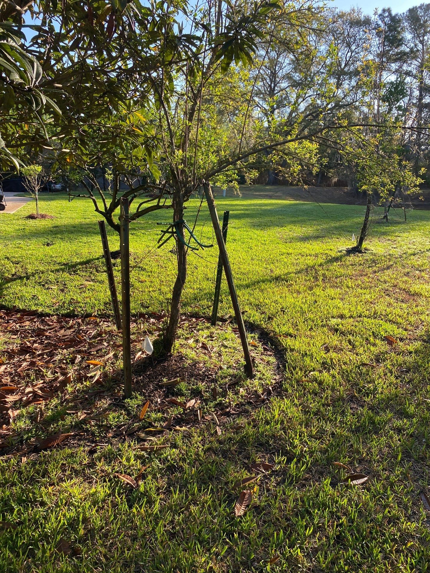 Deerwood Resident | Landscaping by ProGreen Services
