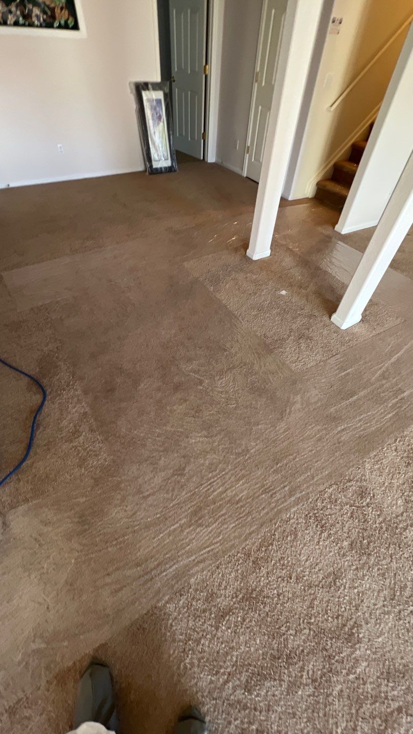 Mold Damage by Accountable Home Services