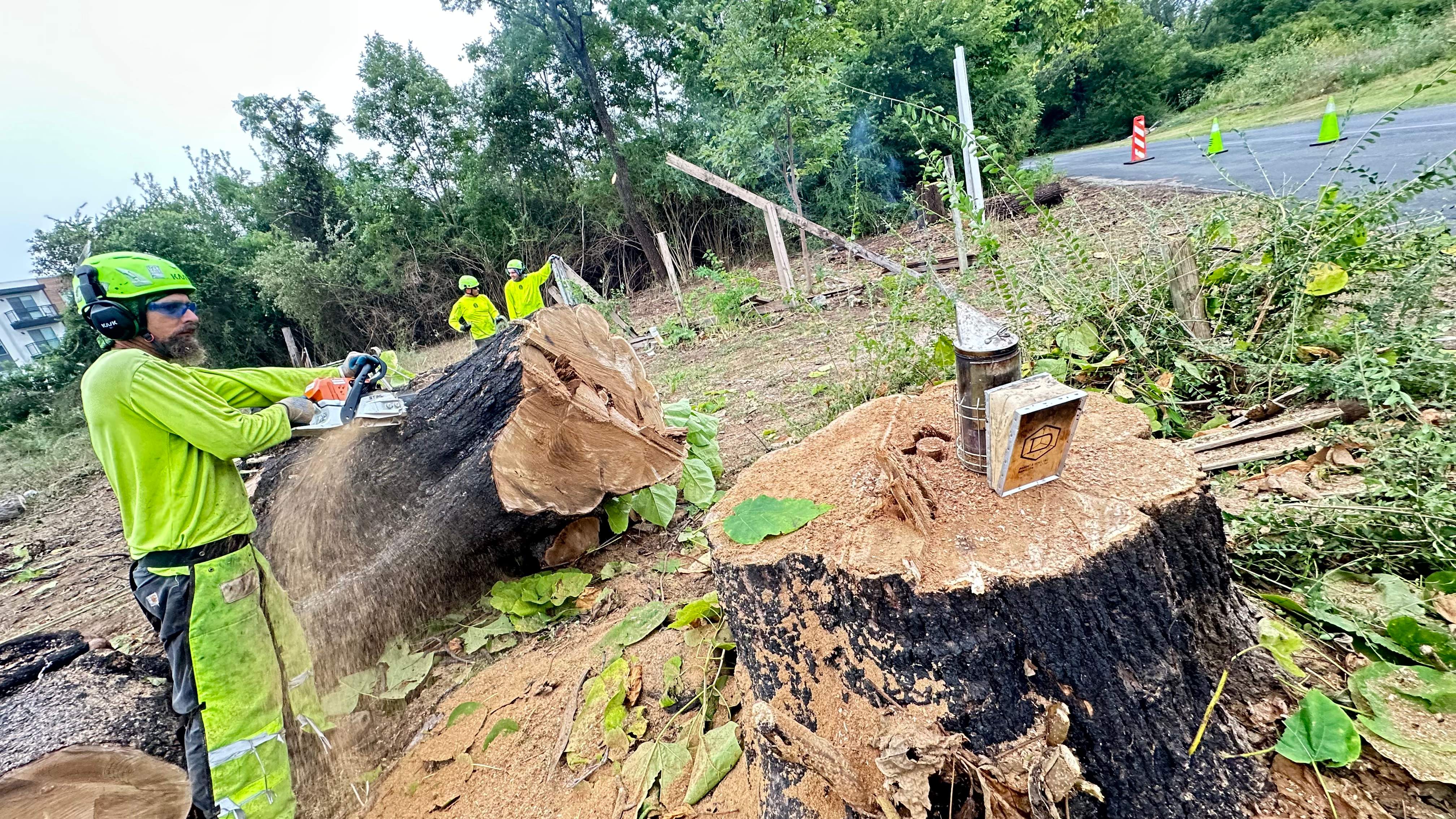 City Tree Company  by Rockwall Honey Bee Company