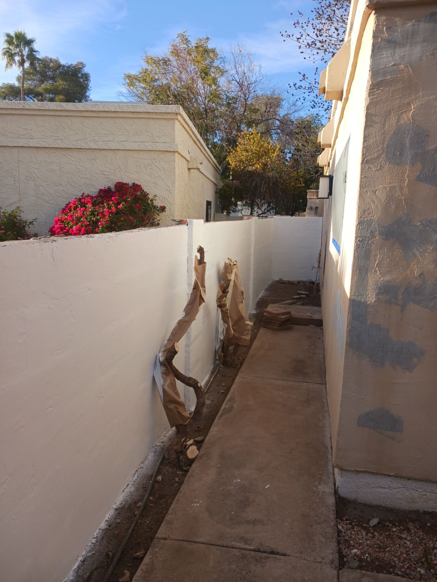 Phoenix by Crash of Rhinos Painting & Garage Floors