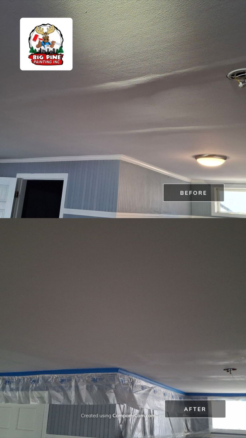 Ceiling repair  by Big Pine Panting Inc