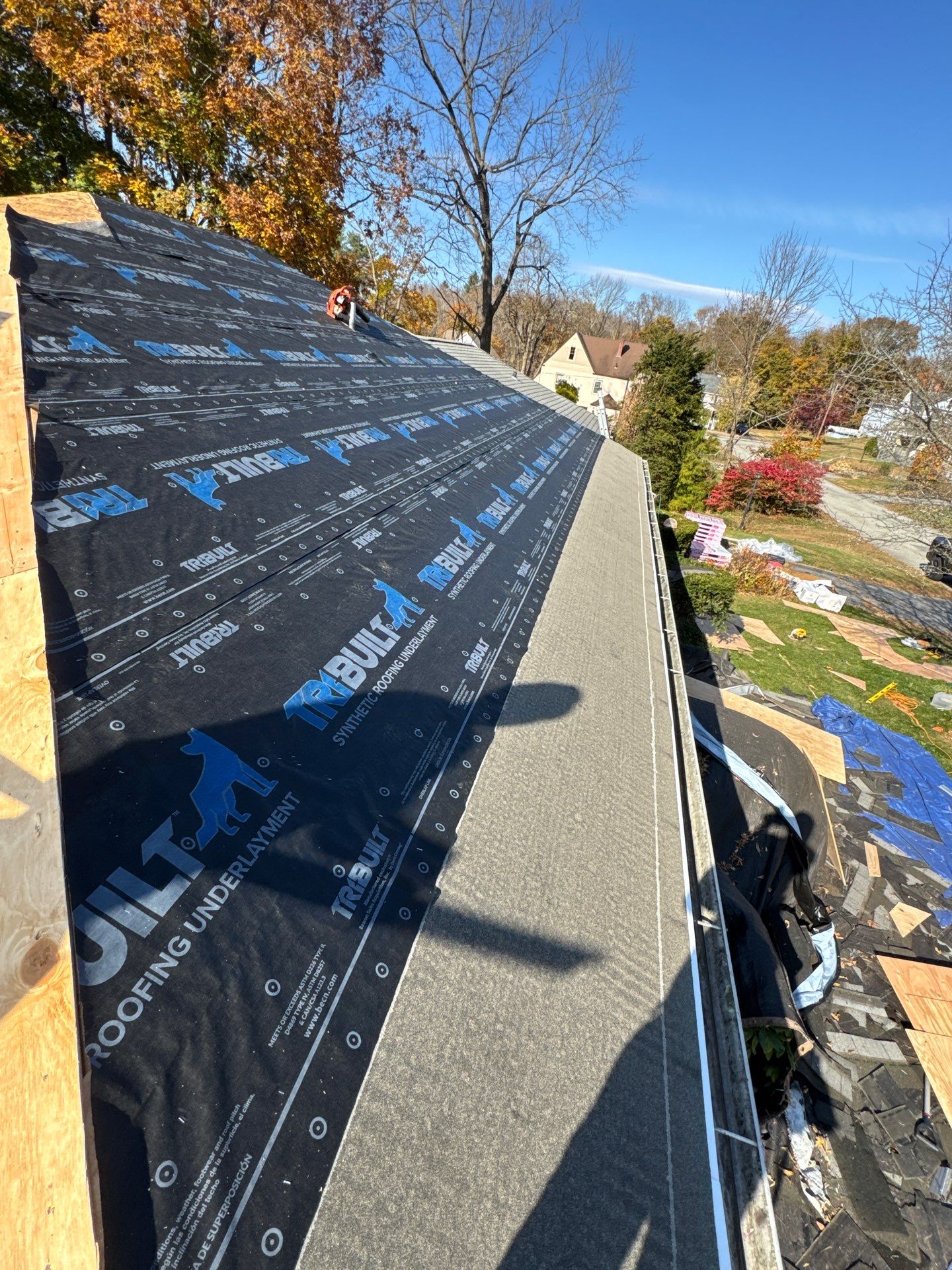Silver Birch Shingles by Reimagine Roofing