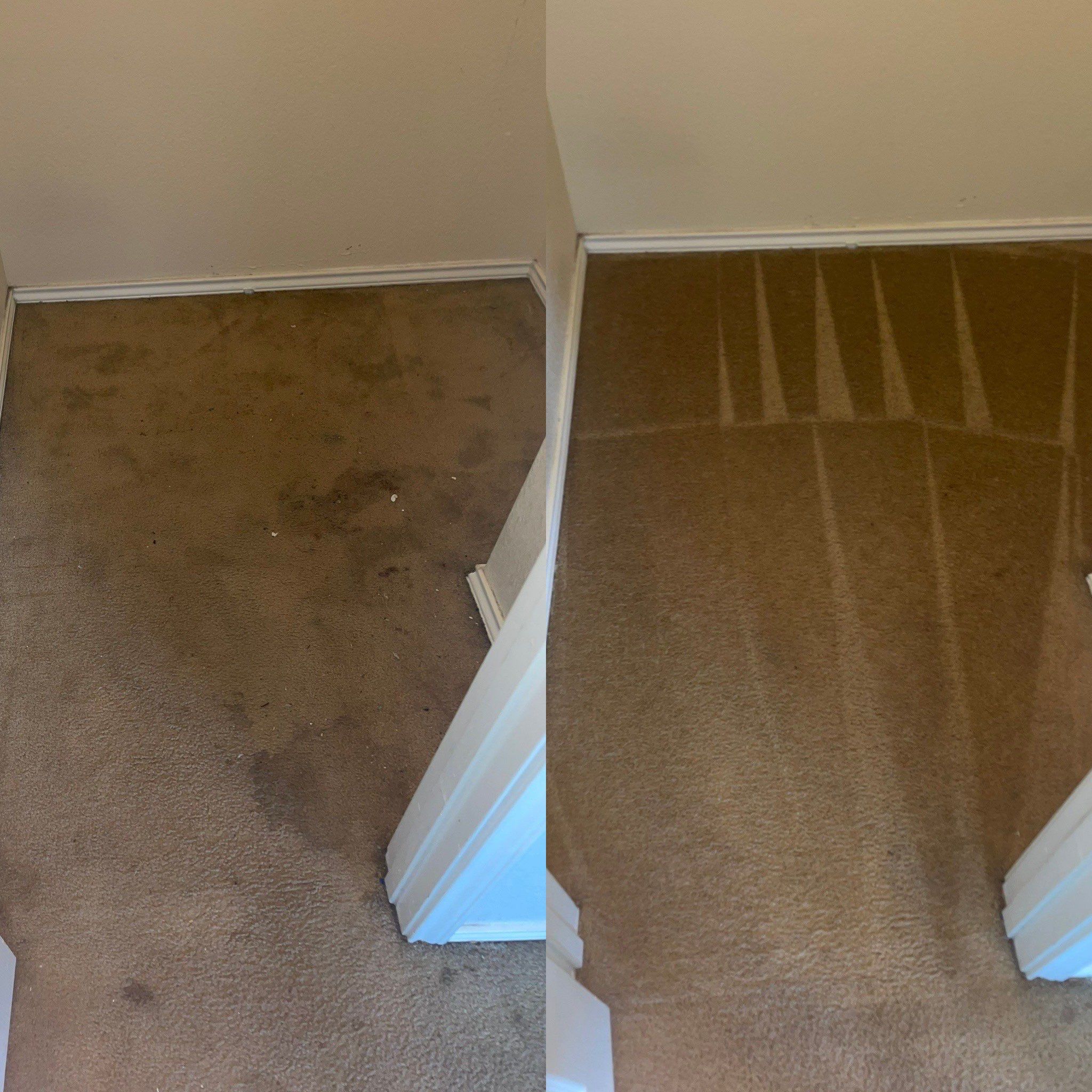 carpet cleaning service transforming a heavily soiled carpet to a clean and well-maintained state