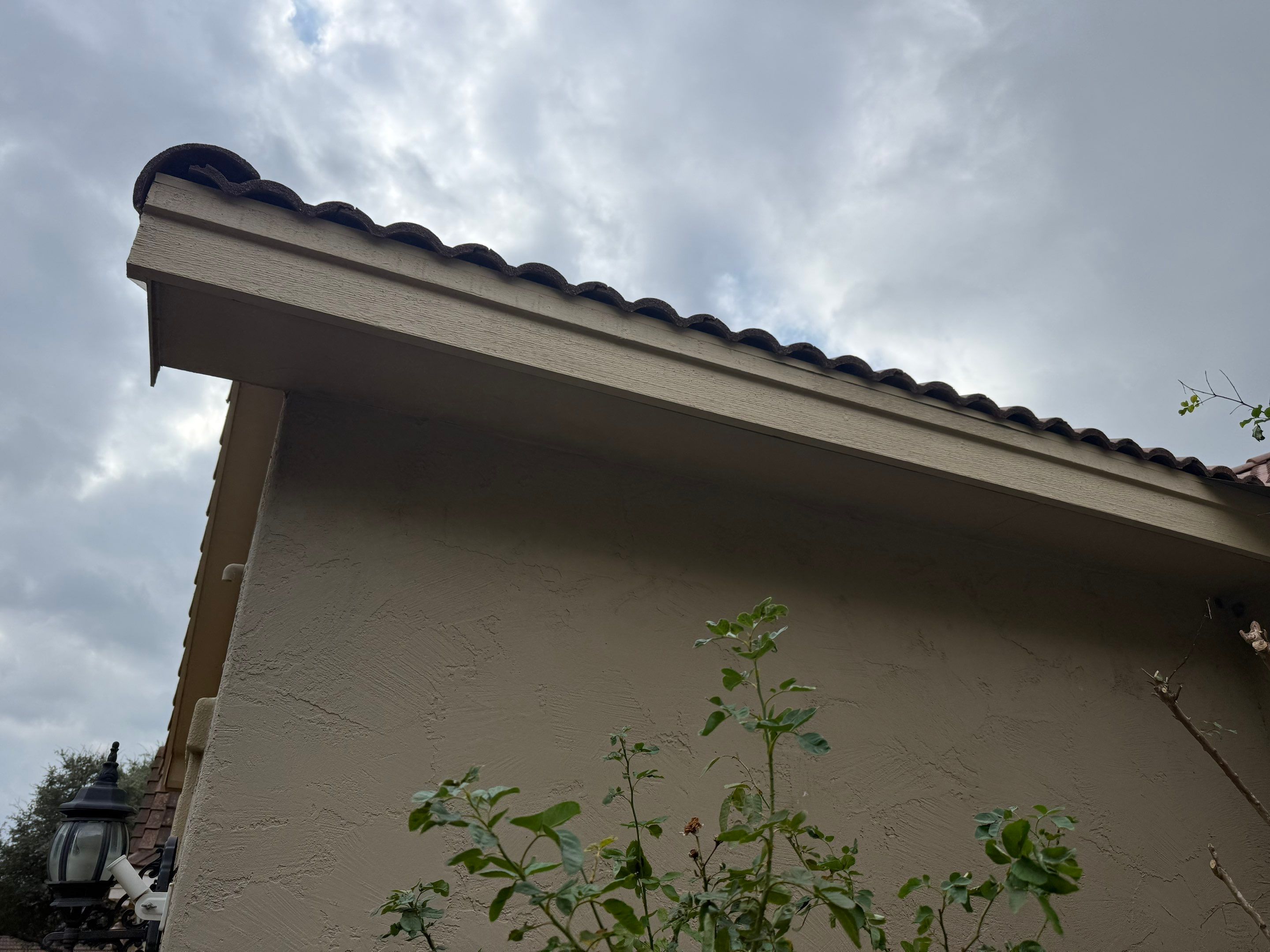 Fascia Carpentry Repair and Paint  by Rox Roofing