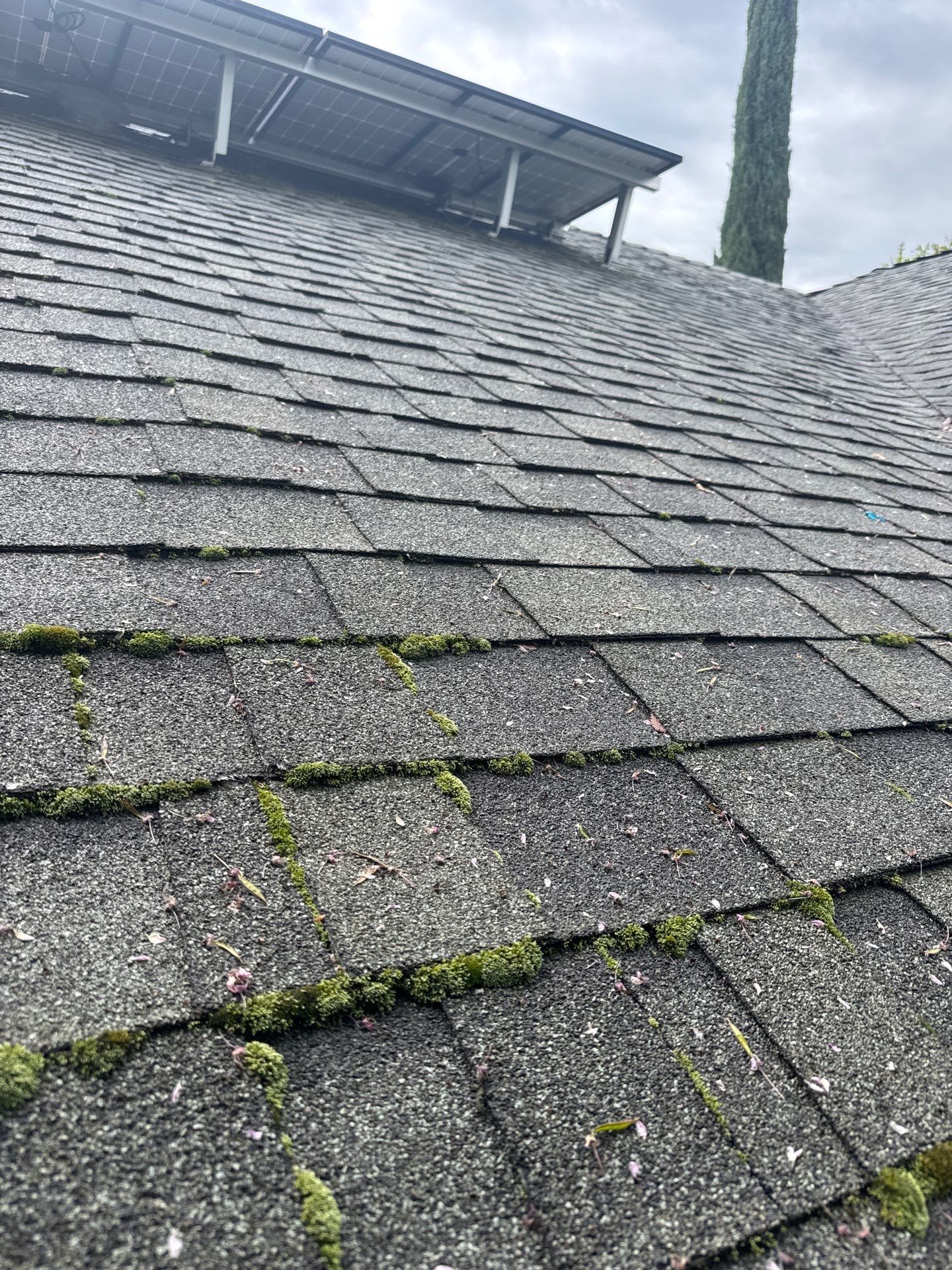 Roof Rejuvenation using Roof Maxx Treatment by Roof Maxx of Folsom