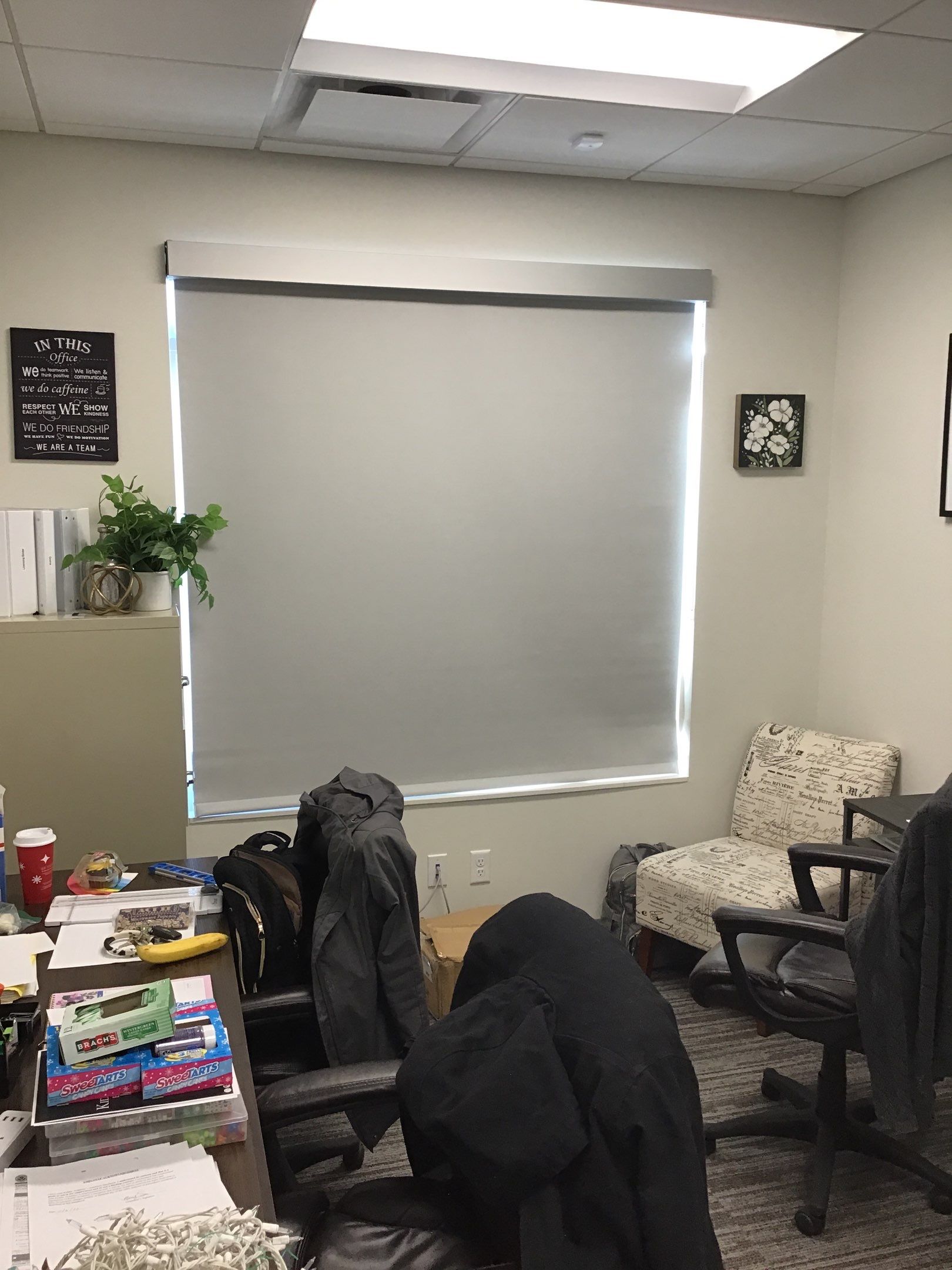 Commercial Window Coverings using Screen Shades by Hunter Douglas Architectural by Custom Blinds & Design