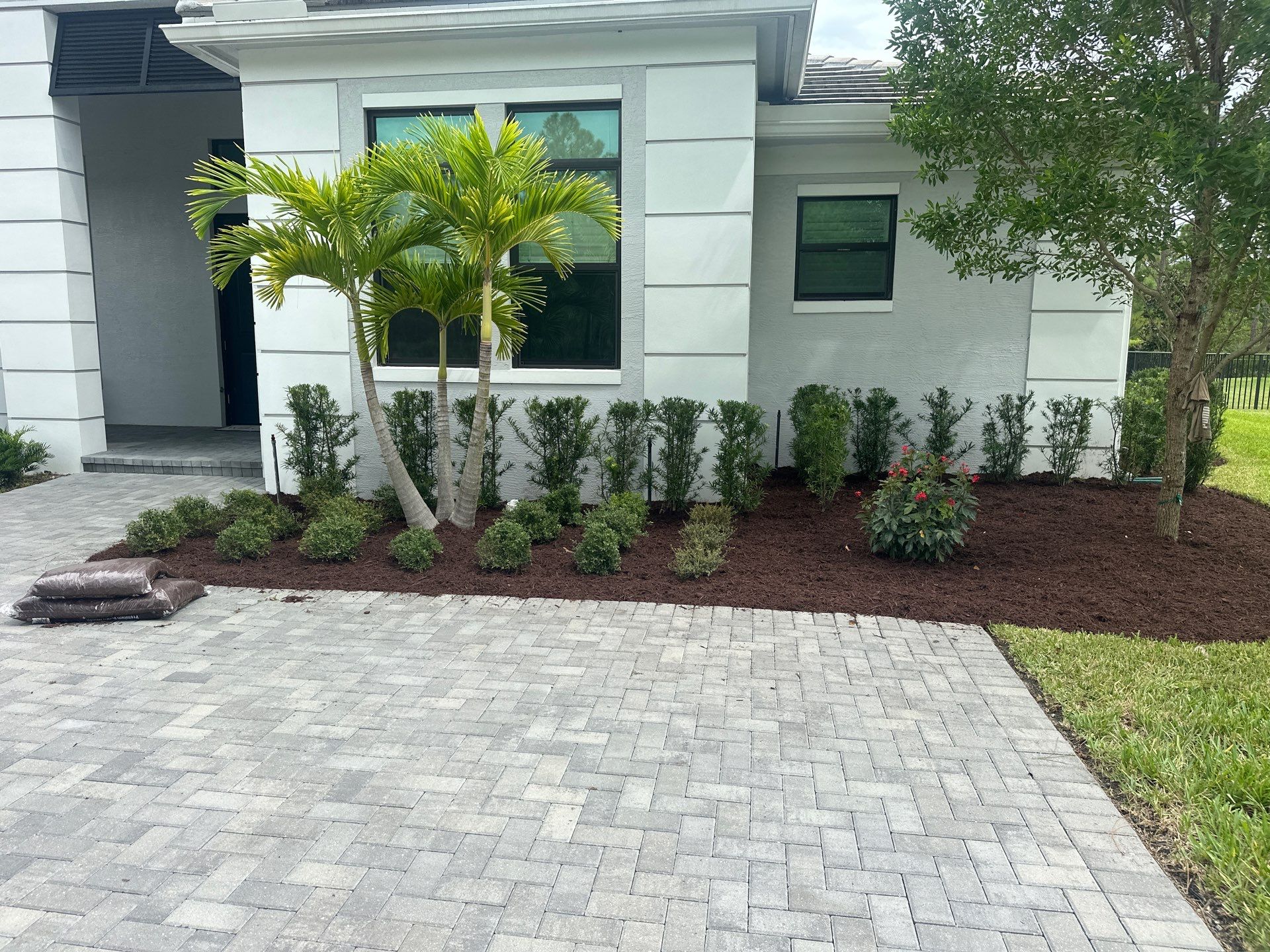 Landscape Cleanup & Refresh – Canopy Creek, Palm City by Alpha Zeta Enterprises Inc