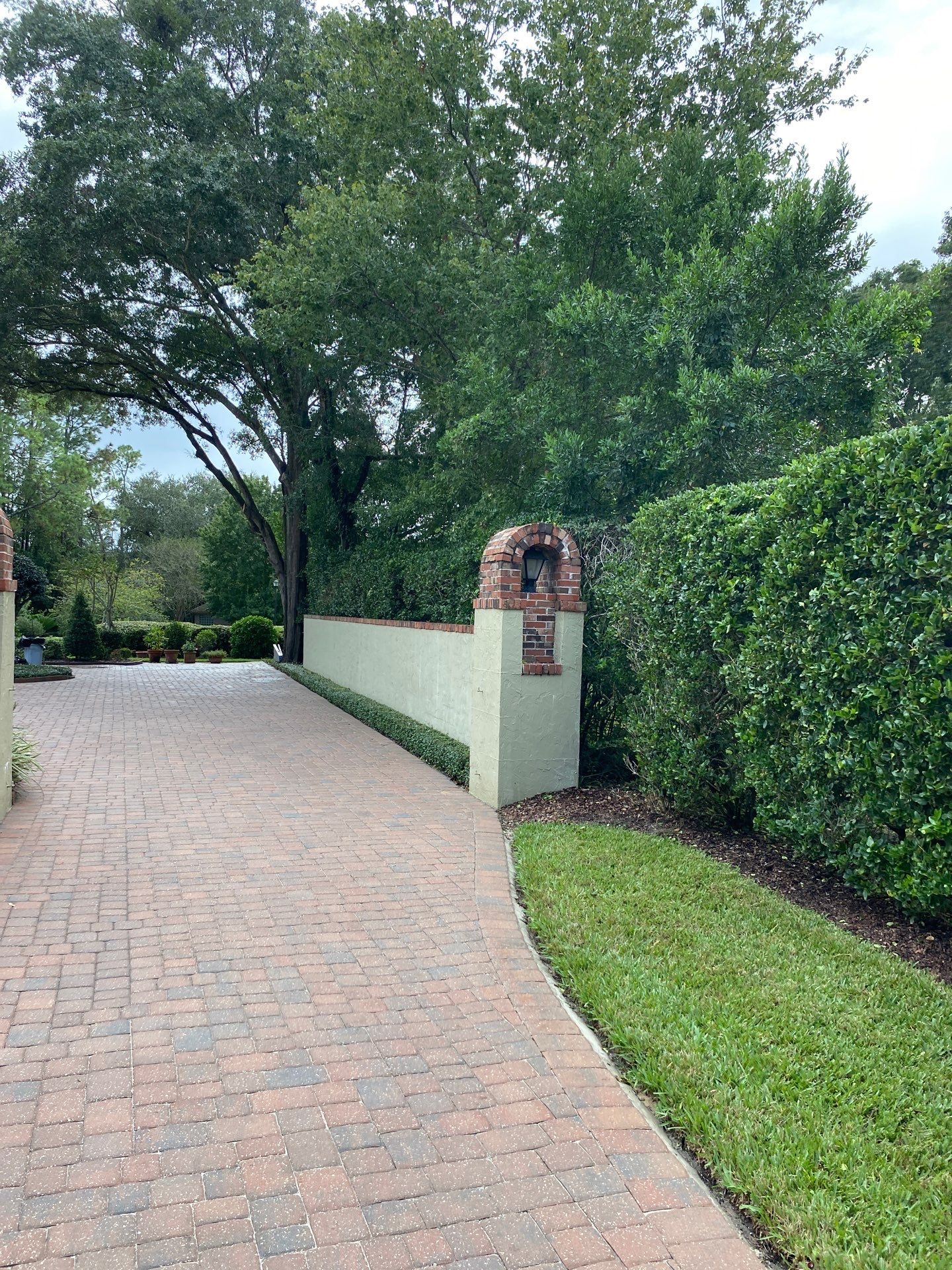 Deerwood Resident | Shrub Work by ProGreen Services