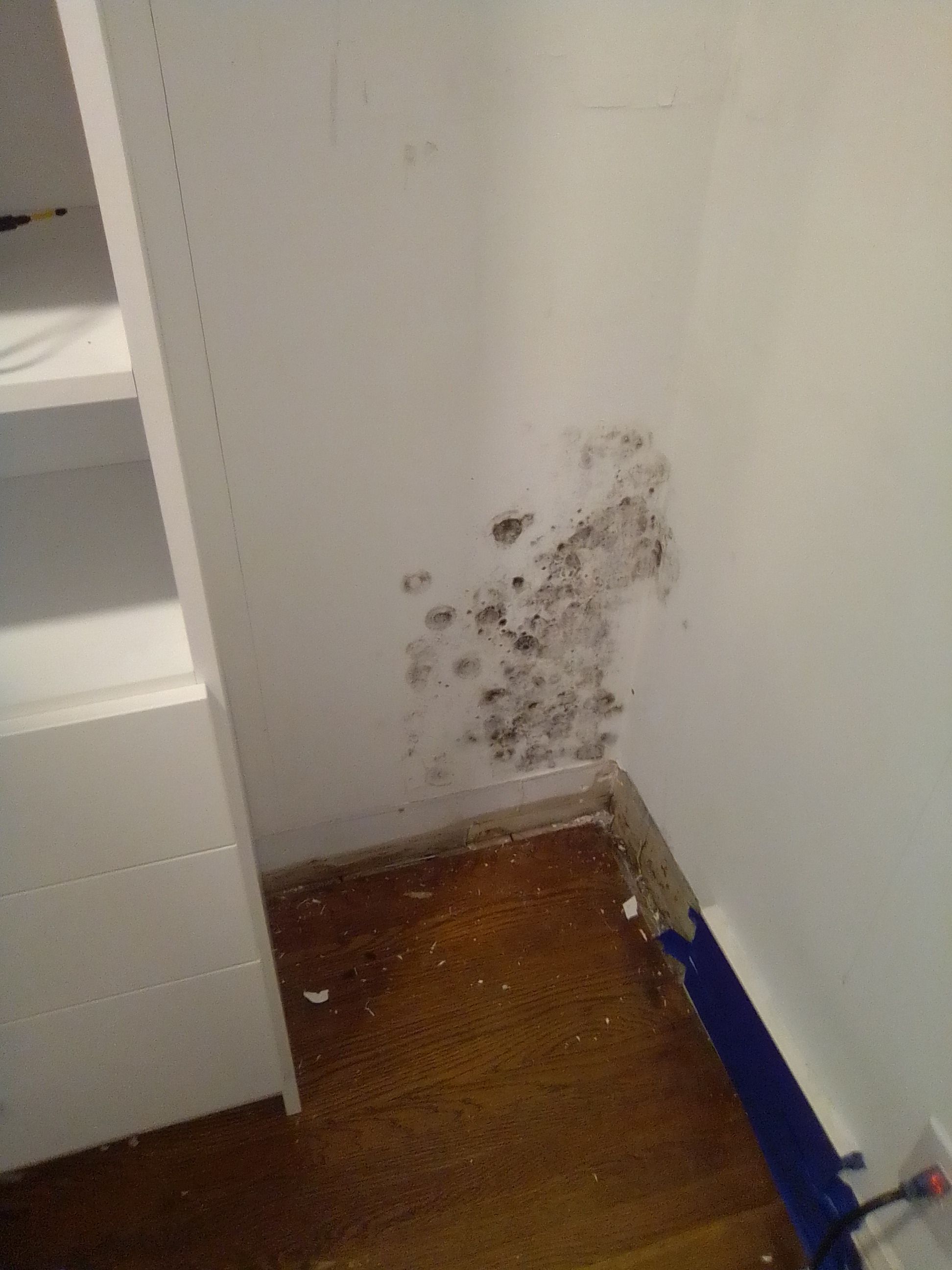 Small Mold Remediation in Louisville, KY by ANR Restoration