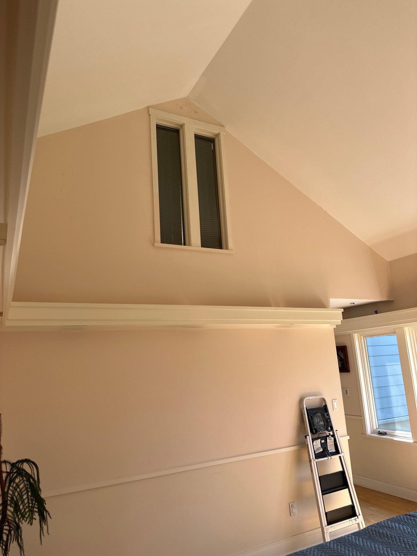 Ceiling Finishing by OCS Contracting Services