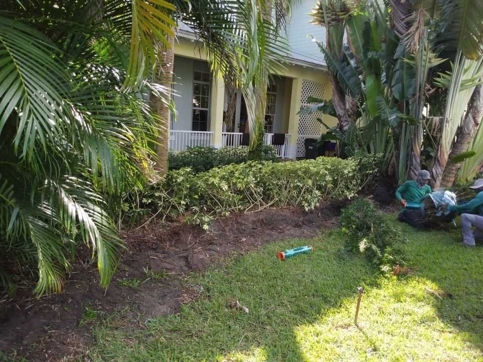 Hazard  by The Landscaping People