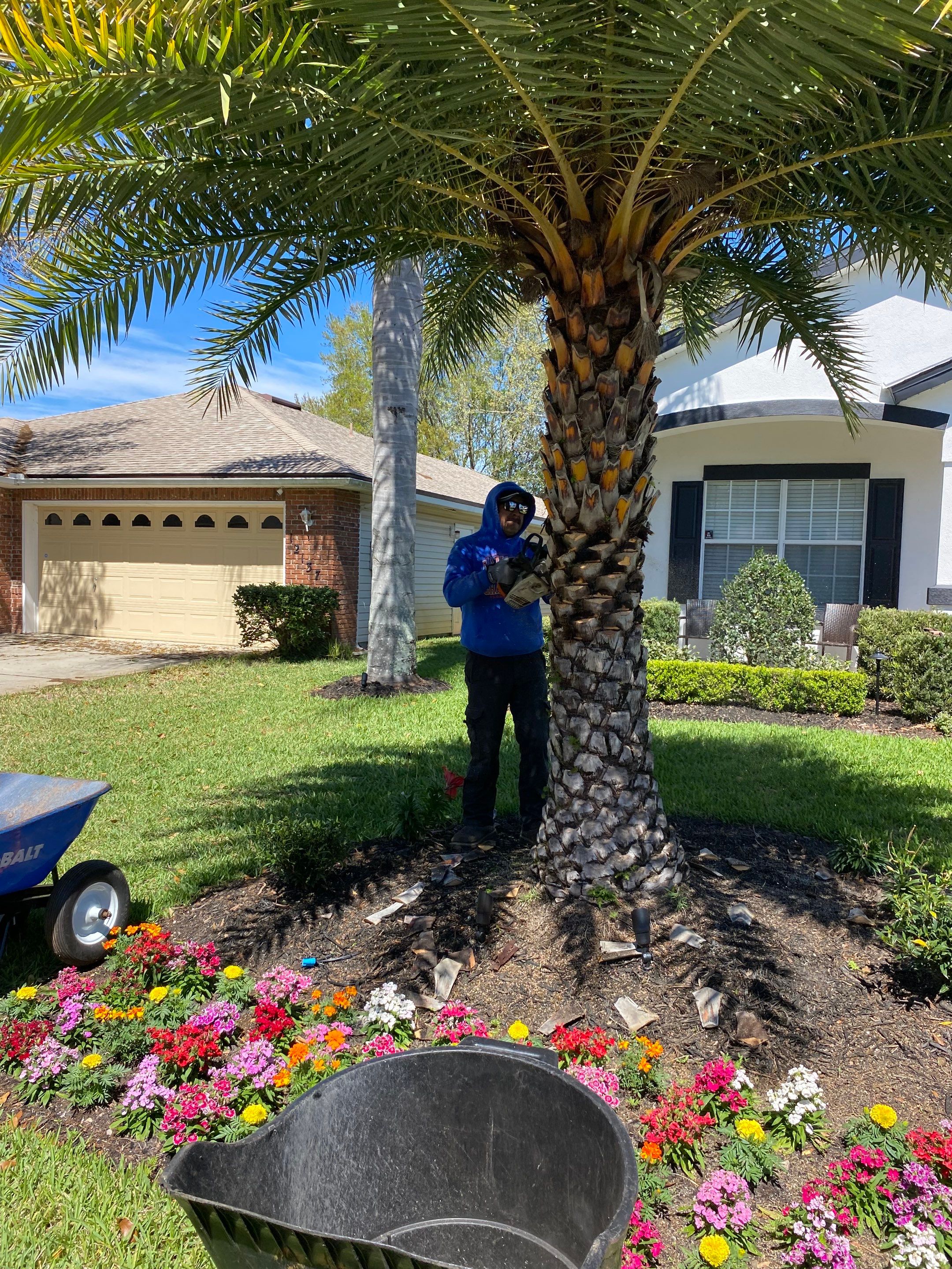 Residential | Tree Service by ProGreen Services