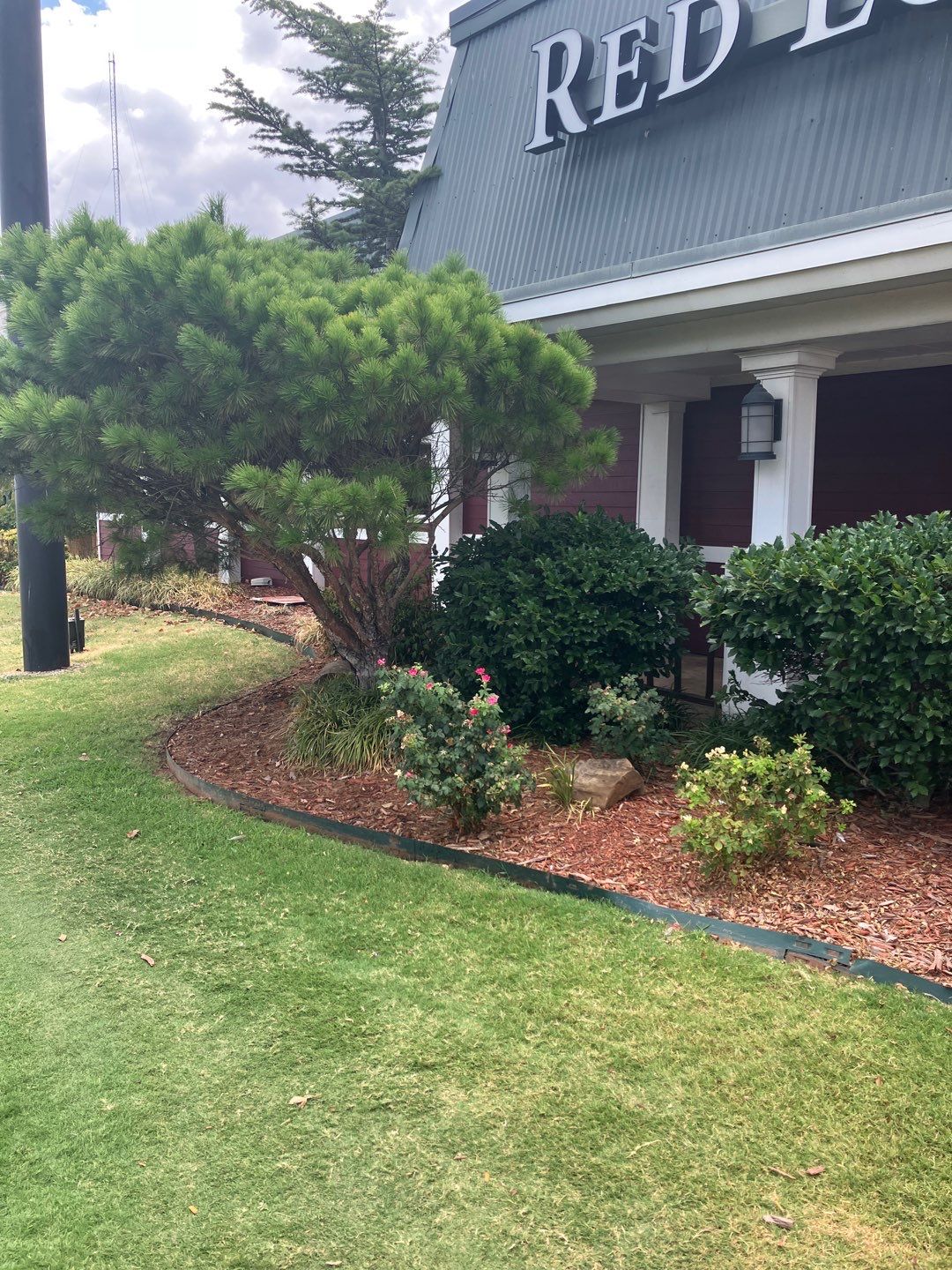 Mulch Replacement using Grade A Cedar by Clays Services Inc