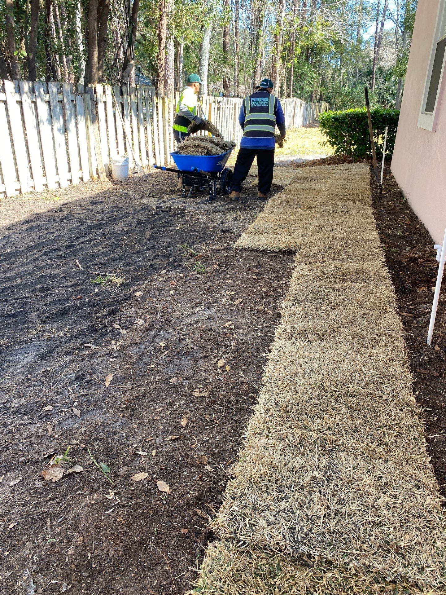 Deerwood Resident | Tree Removal & Clean-Up by ProGreen Services