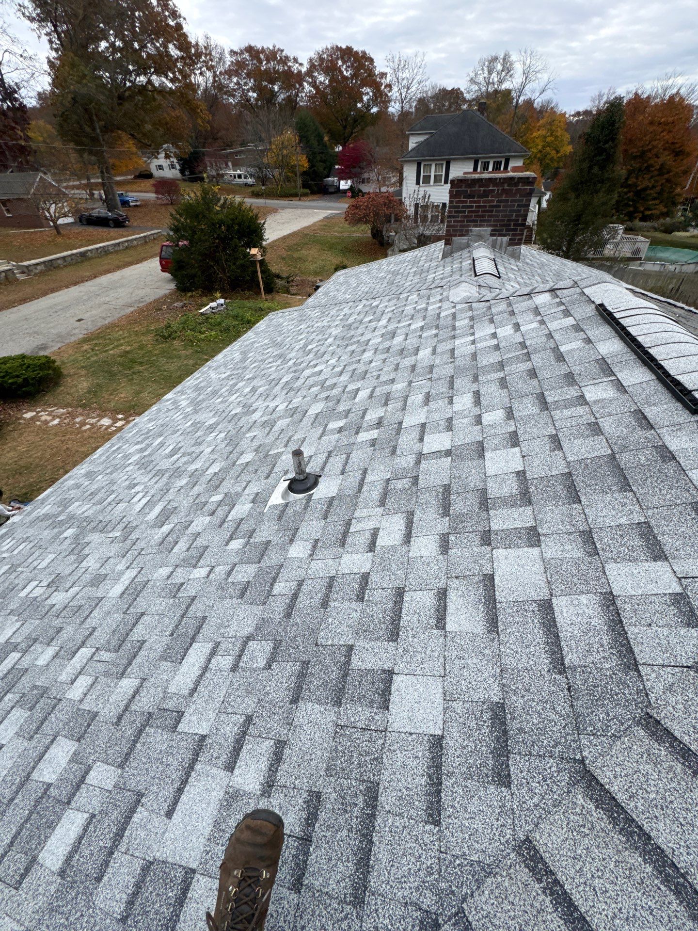 Silver Birch Shingles by Reimagine Roofing