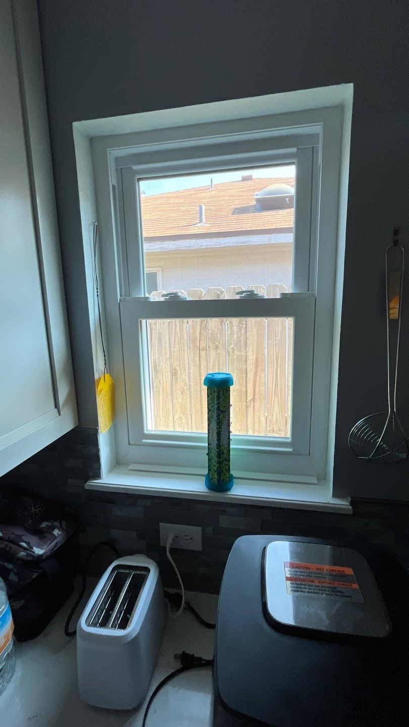 Windows on Quebec  by Bayfront Roofing and Construction
