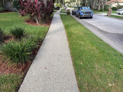 Concrete Driveway & Sidewalk Cleaning in Valrico, FL