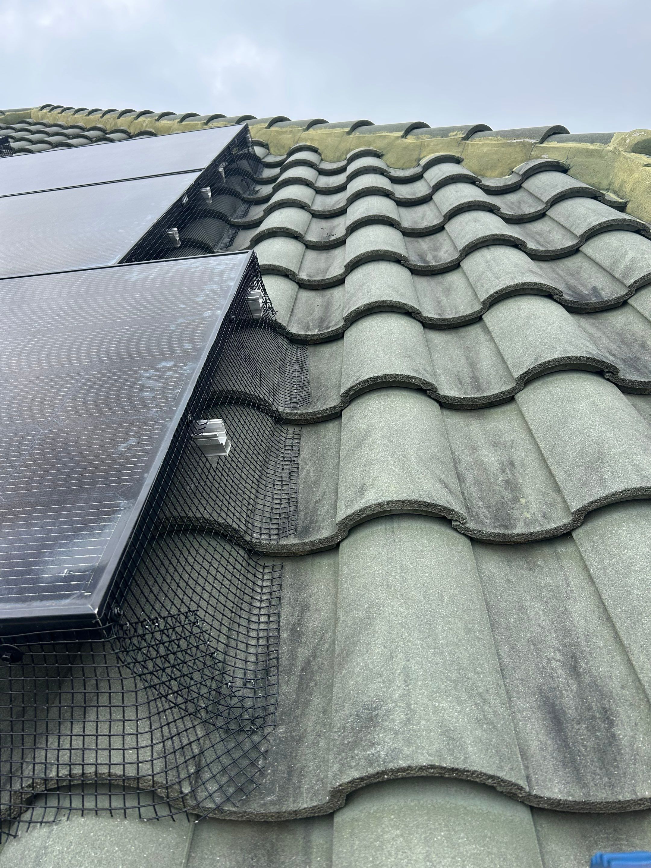 Solar Squirrel Defense System Installation by Gulf Solar Services