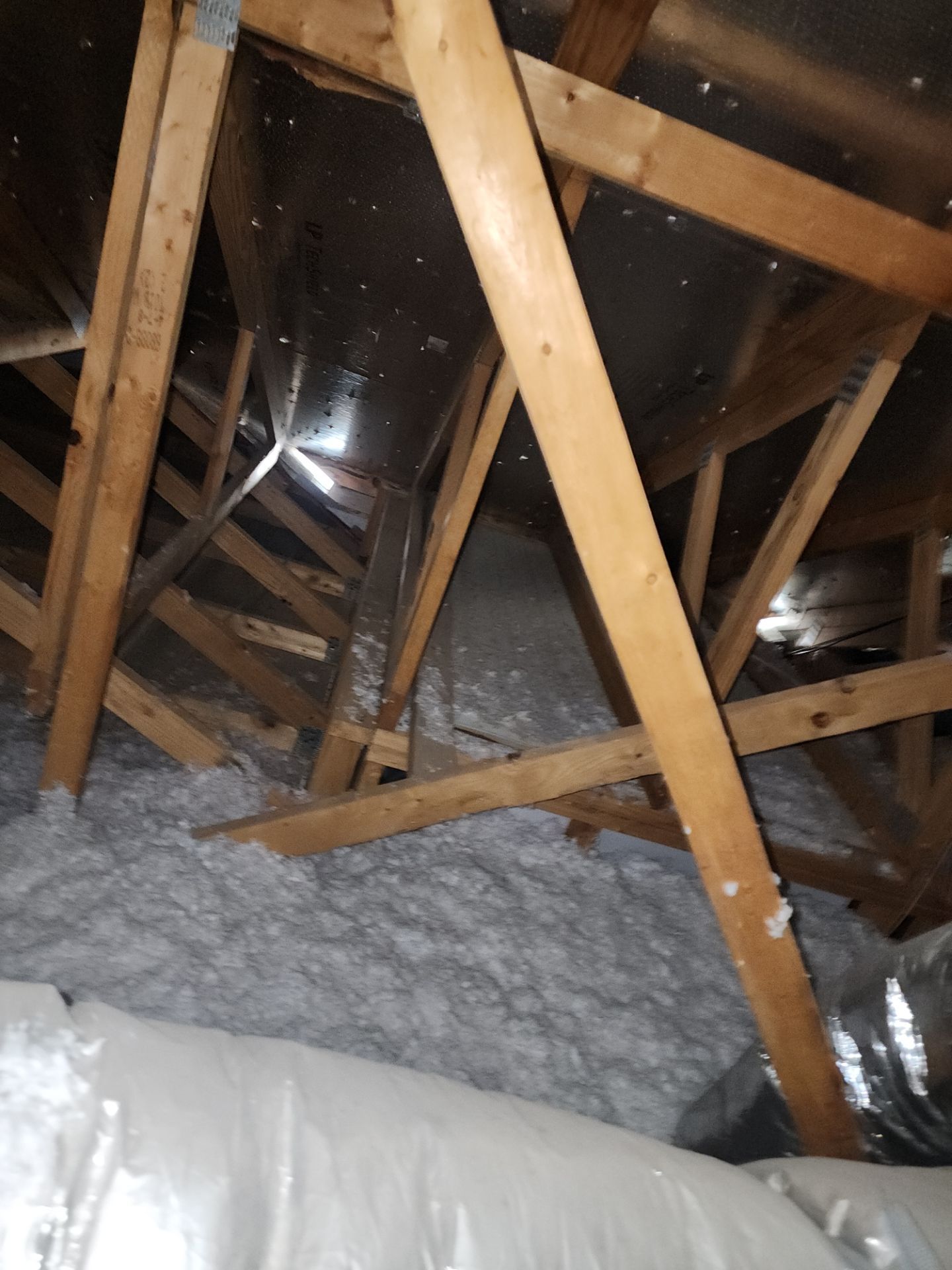 Hail Damage using Owen's Corning Duration (Lifetime) Shingles by Roof Repair Company