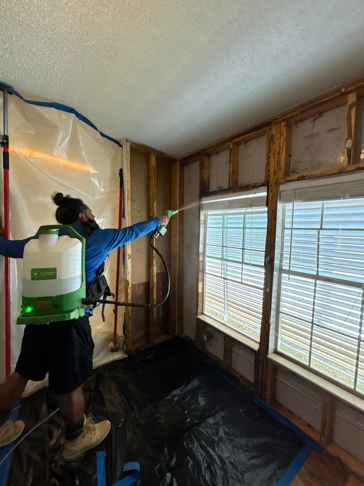 Mold Remediation Palmetto by Ampm Restoration Services 