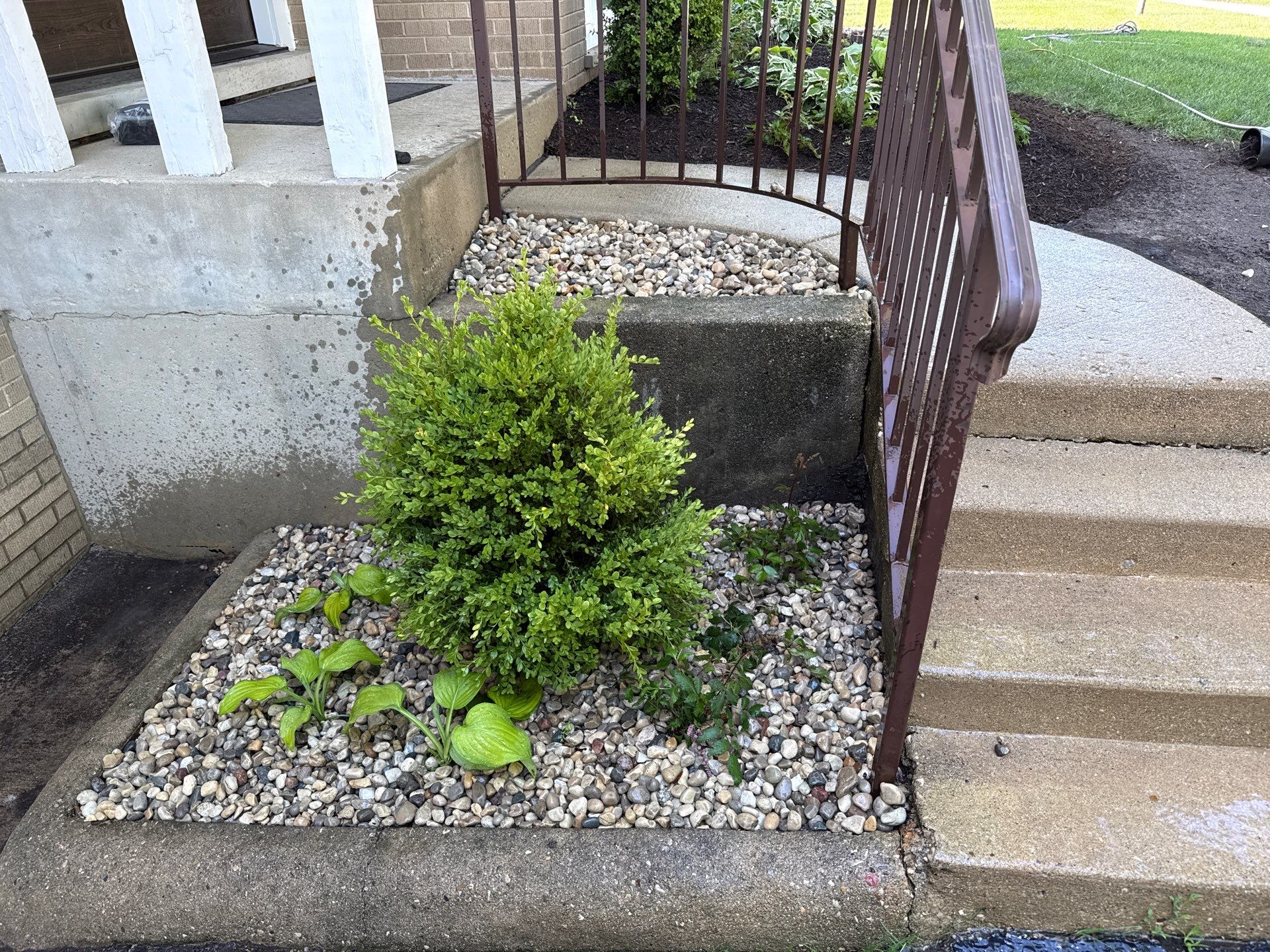 Amy N. - Arlington Heights, IL by A&N 