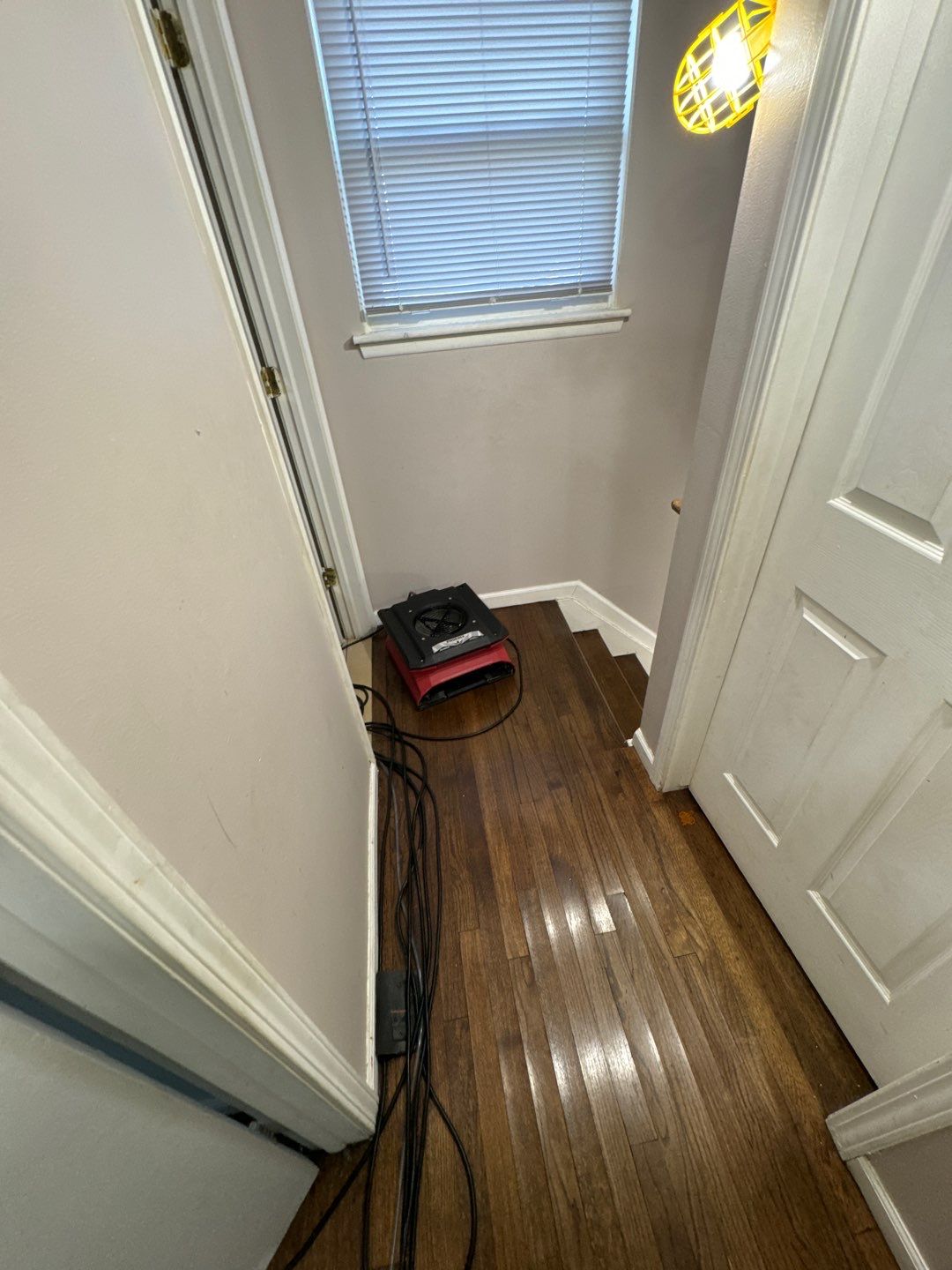 Project in Sterling Heights by EzDry Water Mitigation & Property Restoration