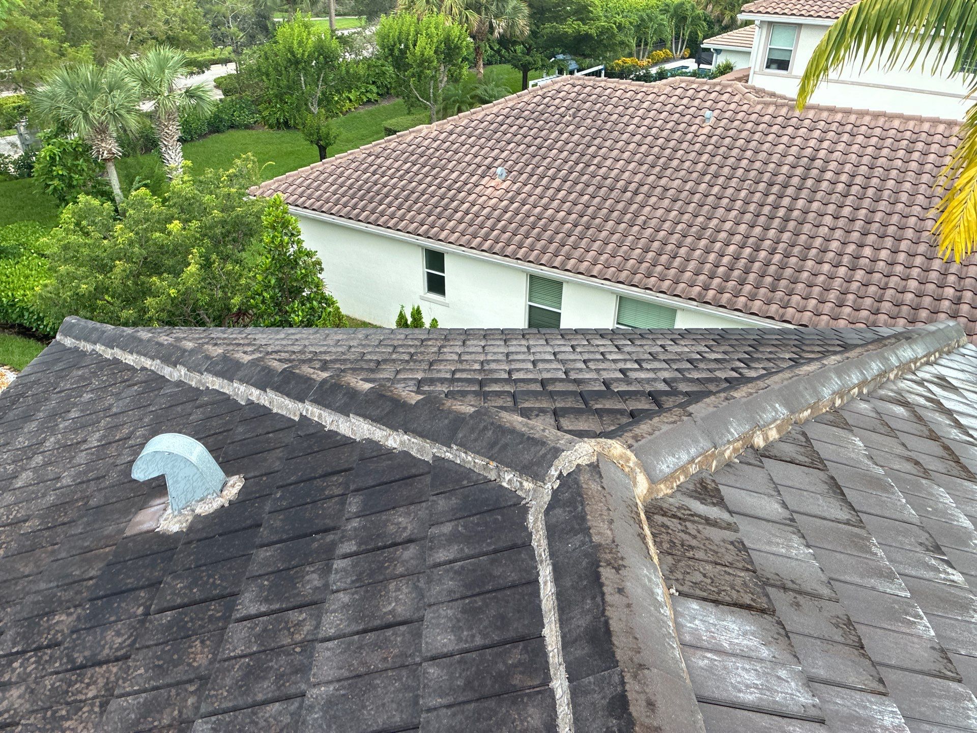 Heron Bay Parkland Painting by BKB Pressure Cleaning LLC